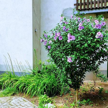 Room In City Center Halle With Shared Bathroom & Kitchen - Free Wifi, Netflix, Ipad & Ground Floor Exterior foto